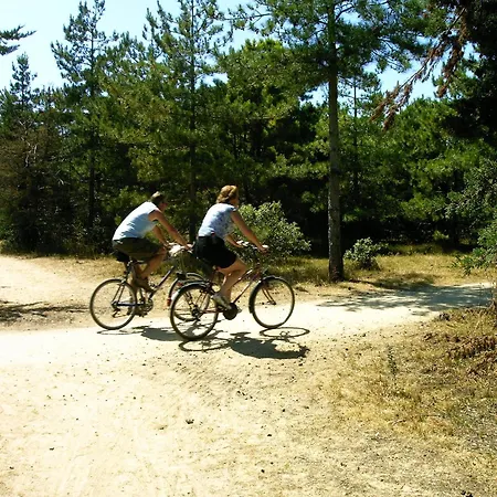 Camping La Forêt-3